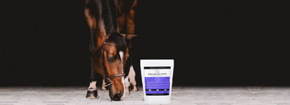 Equine Elixirs CALMAKAZI - Nervous System Support