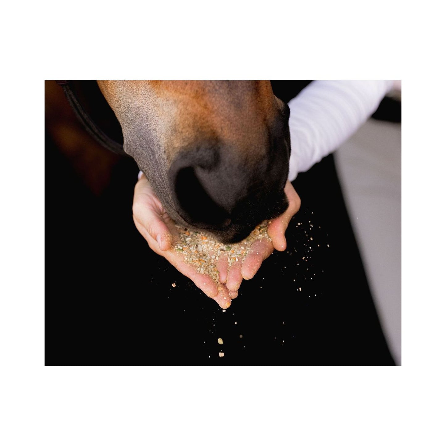 Equine Elixirs CALMAKAZI - Nervous System Support