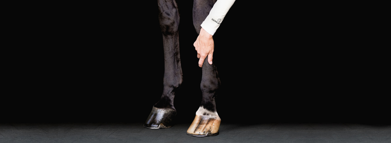 Equine Elixirs CRACKDOWN -Hoof Support