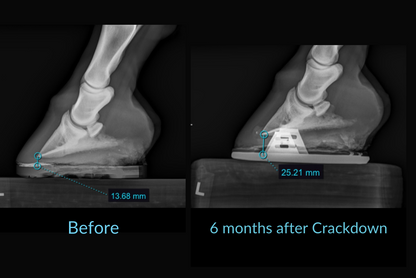 Equine Elixirs CRACKDOWN -Hoof Support