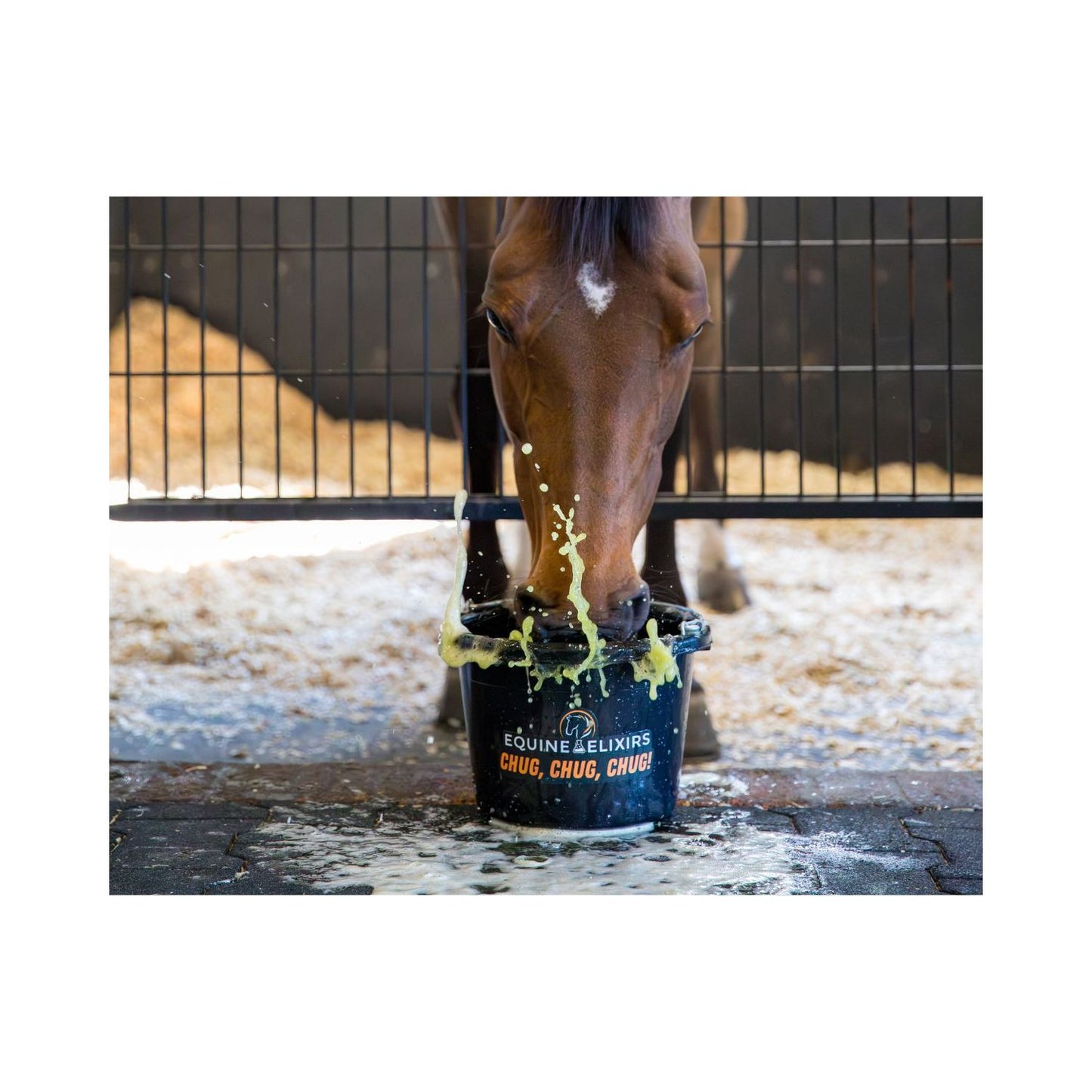 Equine Elixirs  CHUG - Hydration Support