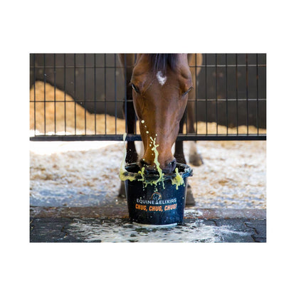 Equine Elixirs  CHUG - Hydration Support