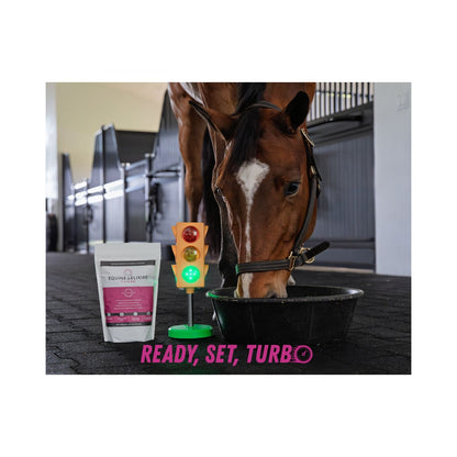 Equine Elixirs TURBO - Energy & Stamina