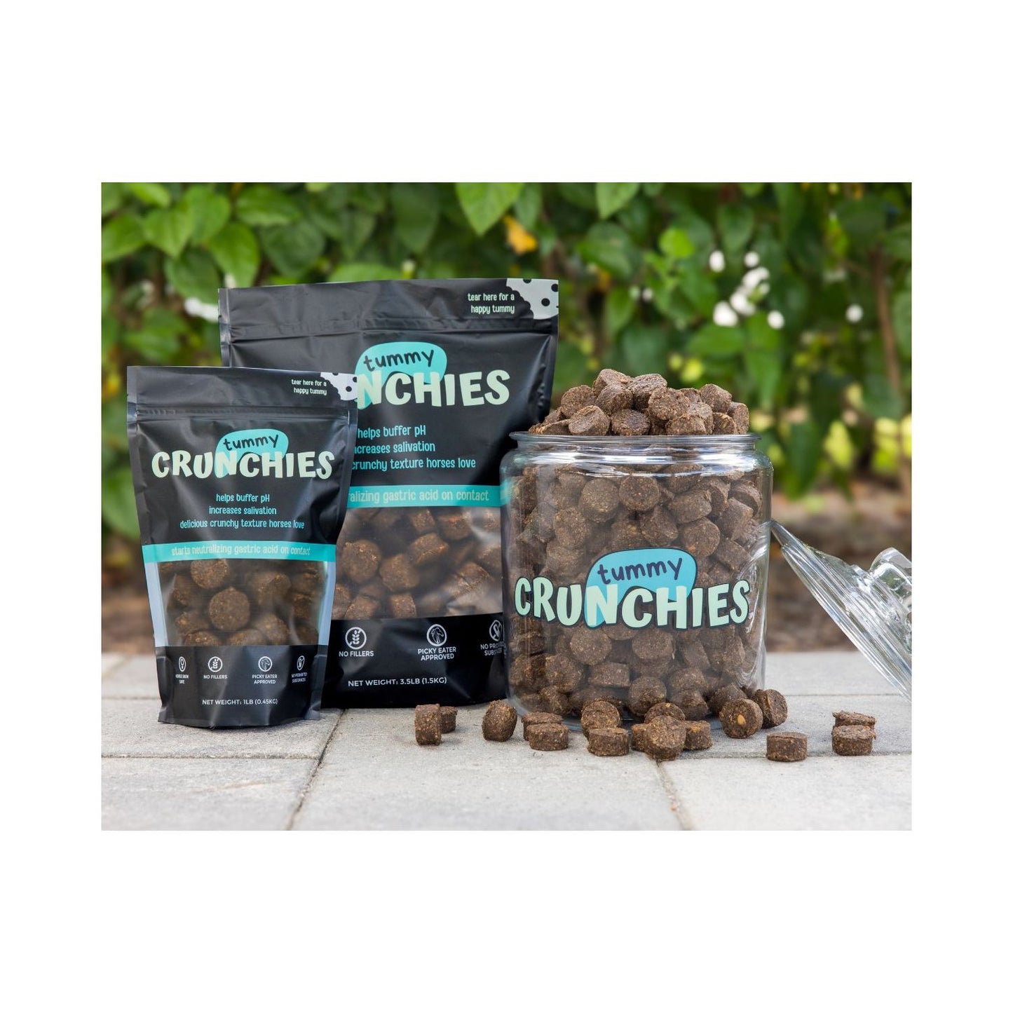 Equine Elixirs - TUMMY CRUNCHIES - Antacid Crunchies
