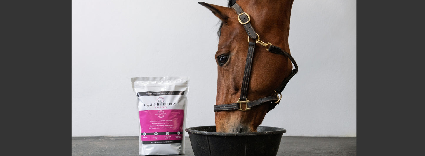Equine Elixirs TURBO - Energy & Stamina